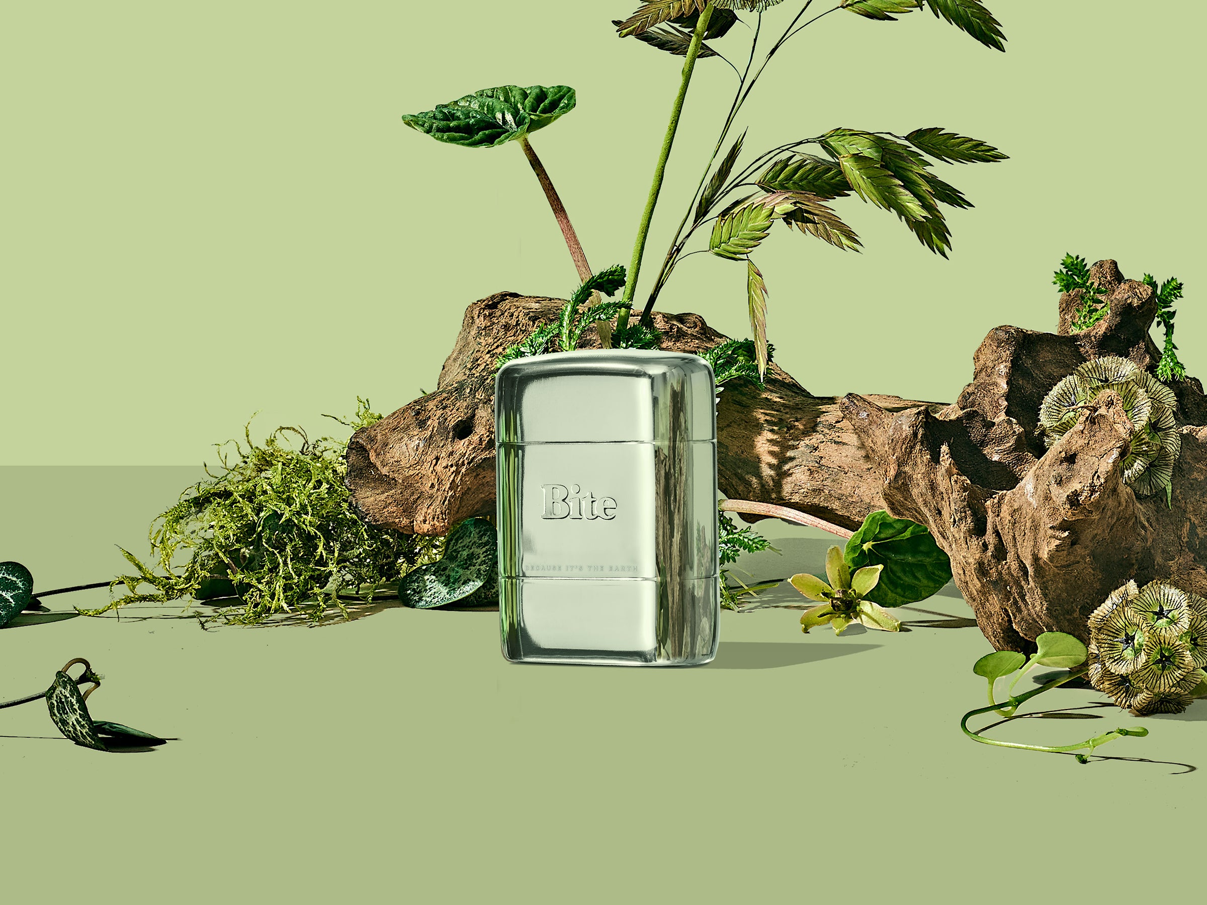 How To Achieve a Green Bathroom: A Step By Step Guide