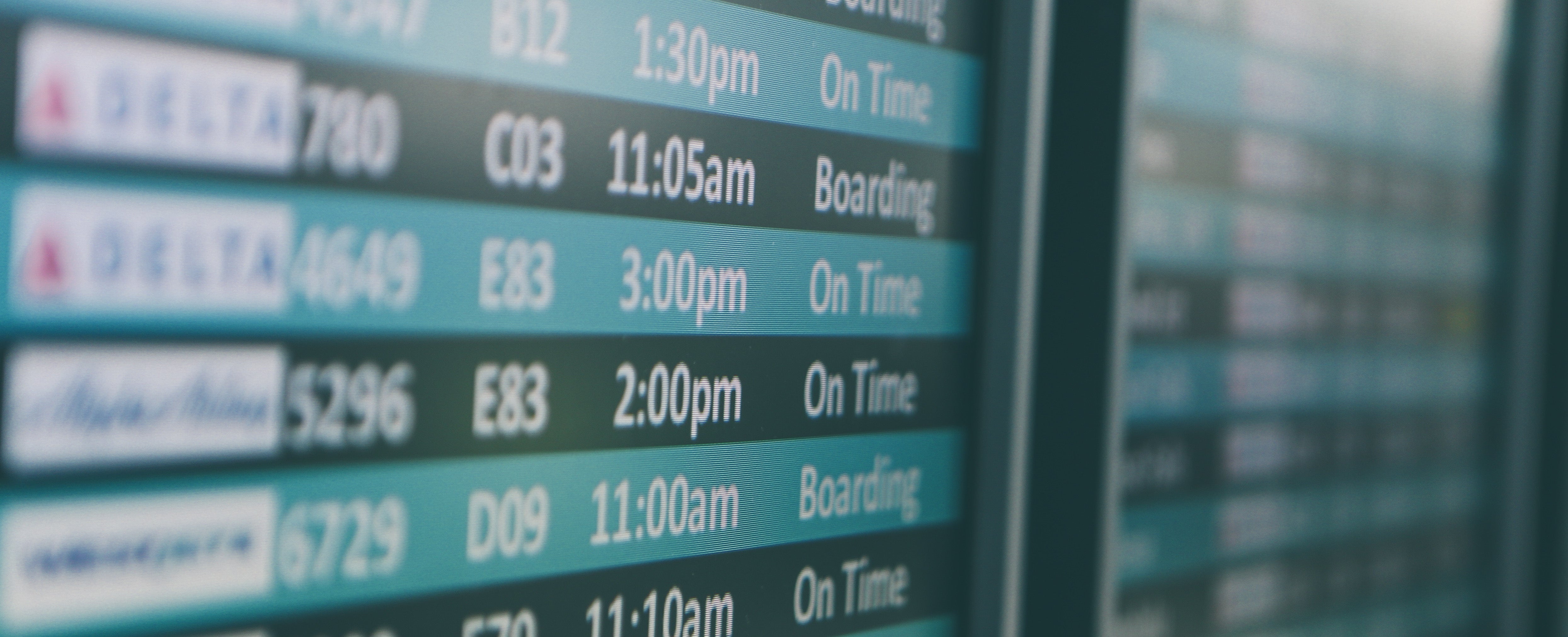 Holiday Travel Survival Guide