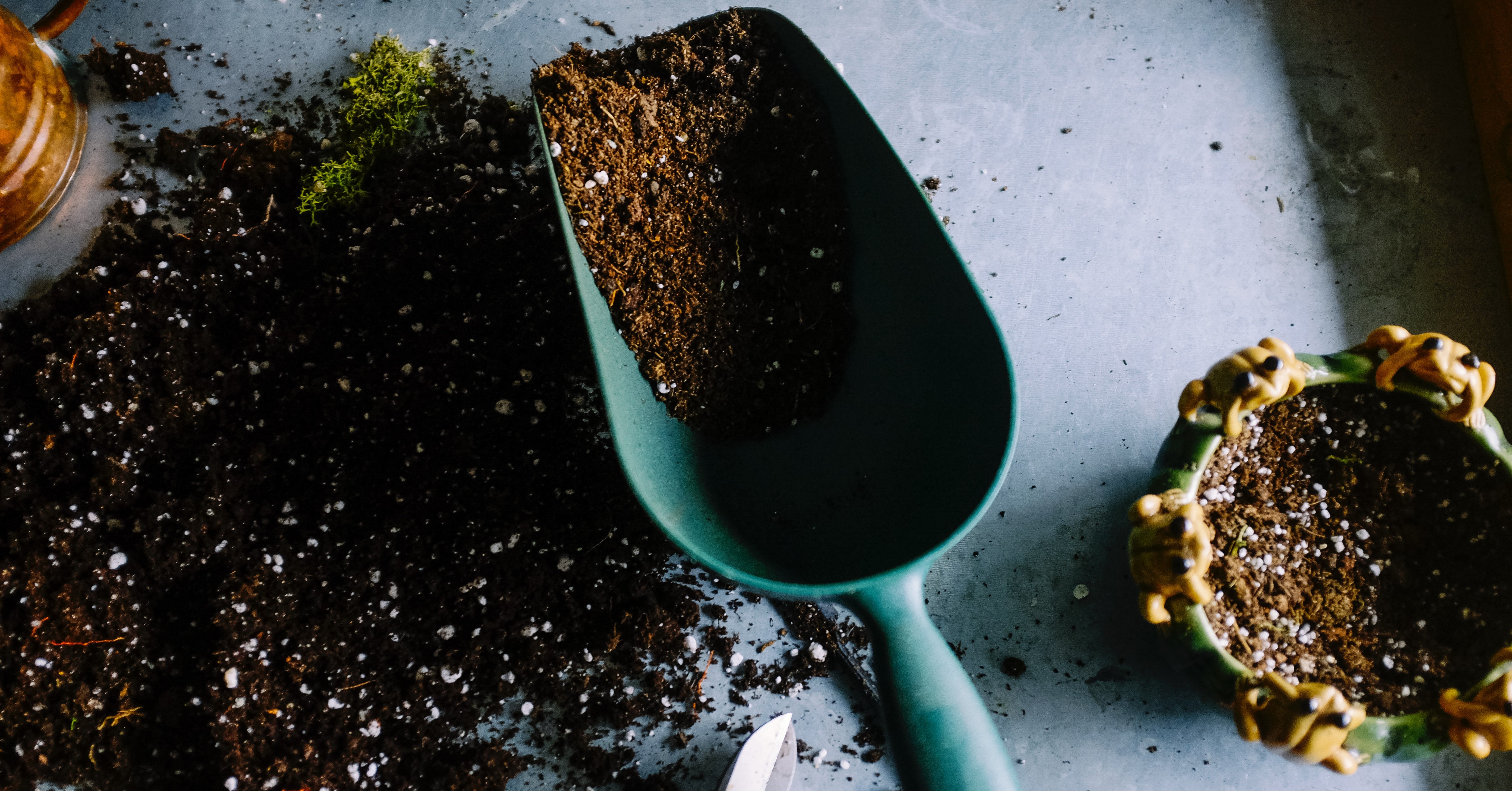 Composting Breakdown: At-Home Composting Guide